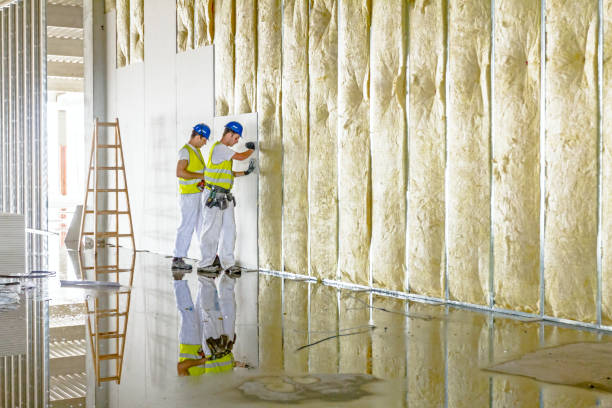 Best Insulation for Specific Applications in Honolulu, HI
